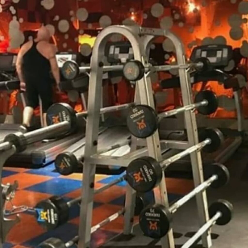 Join now for only a Dollar A Day! Link in bio.
Independent trainers and clients welcome!
.
.
#independenttrainingspot #independenttraininggym #independenttrainer #nycpersonaltrainer #nycfitnesscoach #nycfitness #nycfitnesstrainer #midcitygym