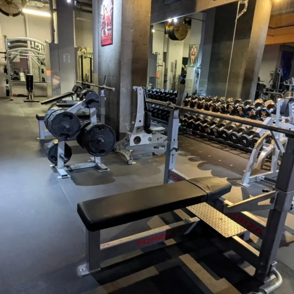 Join now on our New Member Special!
. 1 Year Membership
. 1 Free Month of Membership
. 1 Free Month of Personal Training
. 1 Free Month of Stand Up Tanning
All for only $399! Link in bio.
We welcome outside trainers!
.
.
#nycgyms # independenttrainingspot #nycindoortanning #midcitygym