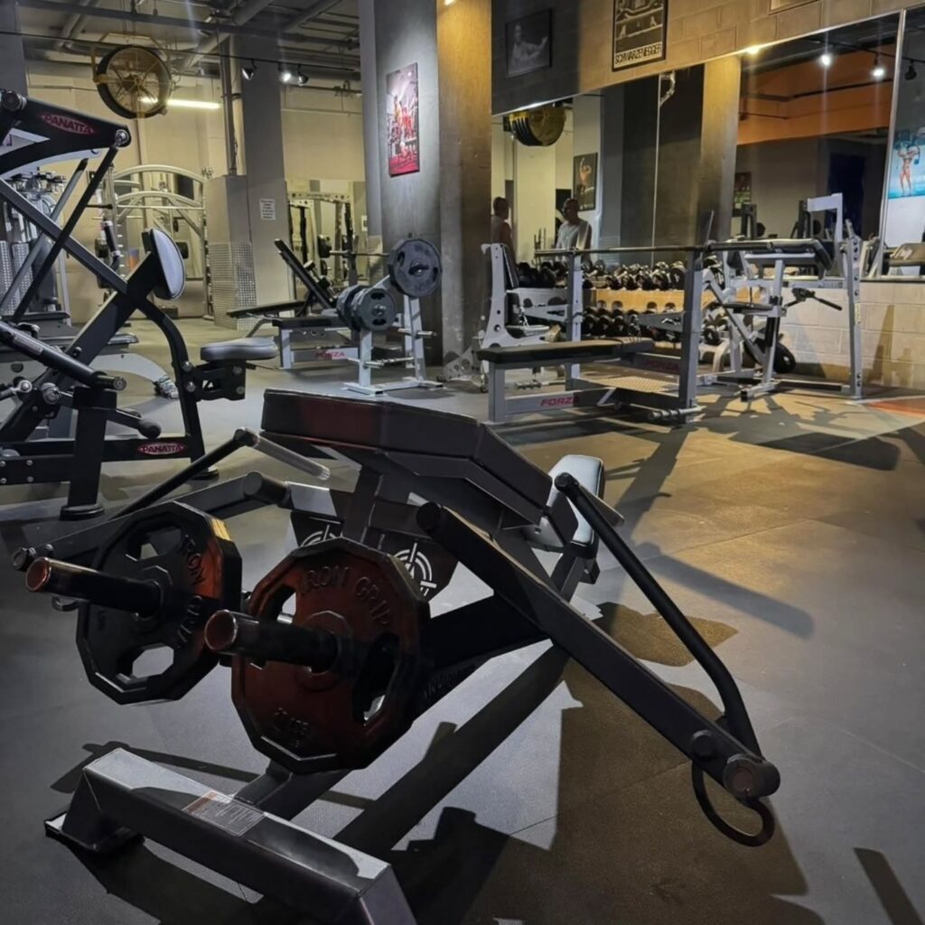 Join now on our New Member Special!
. 1 Year Membership
. 1 Free Month of Membership
. 1 Free Month of Personal Training
. 1 Free Month of Stand Up Tanning
All for only $399! Link in bio.
We welcome outside trainers!
.
.
#nycgyms # independenttrainingspot #nycindoortanning #midcitygym